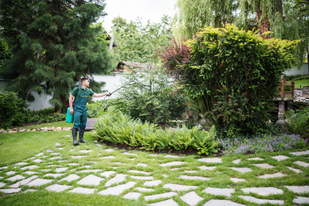 Pest Prevention Services in St Augustine Shores, FL